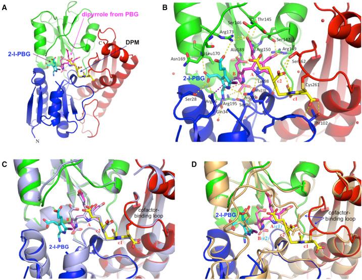 https://cdn.ncbi.nlm.nih.gov/pmc/blobs/2065/7959689/13caa25fc1f0/BCJ-478-1023-g0006.jpg