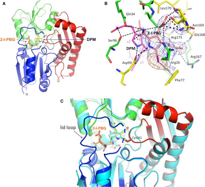 https://cdn.ncbi.nlm.nih.gov/pmc/blobs/2065/7959689/16c5bd170d0d/BCJ-478-1023-g0003.jpg