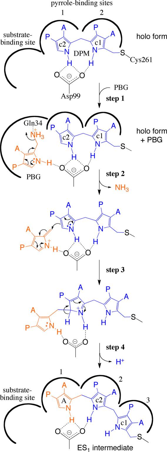 https://cdn.ncbi.nlm.nih.gov/pmc/blobs/2065/7959689/5dcd76dd7d7e/BCJ-478-1023-g0008.jpg