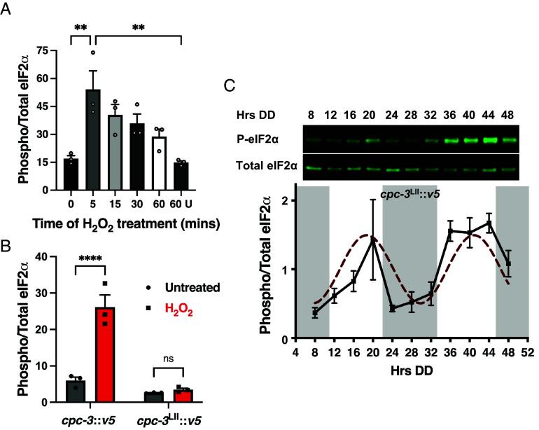 https://cdn.ncbi.nlm.nih.gov/pmc/blobs/2067/11831163/b7d03a6fc730/pnas.2411916122fig02.jpg