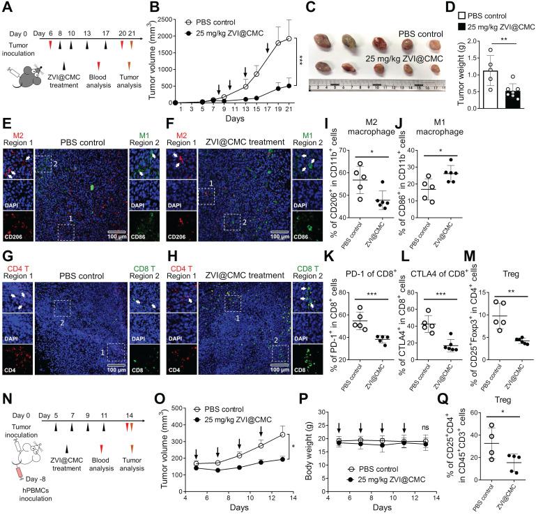 https://cdn.ncbi.nlm.nih.gov/pmc/blobs/2067/8171079/6a6c0376def6/thnov11p7072g006.jpg
