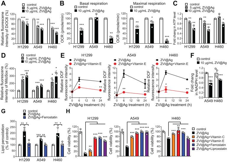 https://cdn.ncbi.nlm.nih.gov/pmc/blobs/2067/8171079/bf3f60535449/thnov11p7072g003.jpg