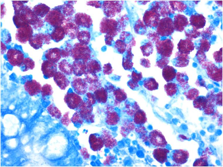 https://cdn.ncbi.nlm.nih.gov/pmc/blobs/2067/8423245/a24b082986e4/pone.0256628.g005.jpg