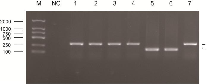 https://cdn.ncbi.nlm.nih.gov/pmc/blobs/2067/8423245/fffb82eb9719/pone.0256628.g006.jpg