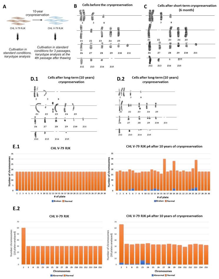 https://cdn.ncbi.nlm.nih.gov/pmc/blobs/206a/10855830/131890982da5/ijms-25-01467-g001.jpg