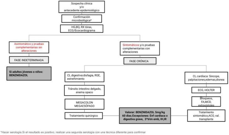 https://cdn.ncbi.nlm.nih.gov/pmc/blobs/206a/11002854/329c3bd7fbdd/gr1.jpg