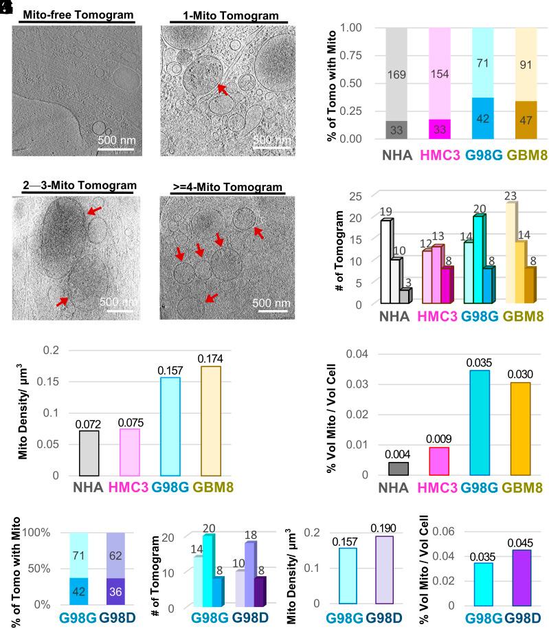https://cdn.ncbi.nlm.nih.gov/pmc/blobs/206b/10907319/54f639bd7233/pnas.2311160121fig01.jpg