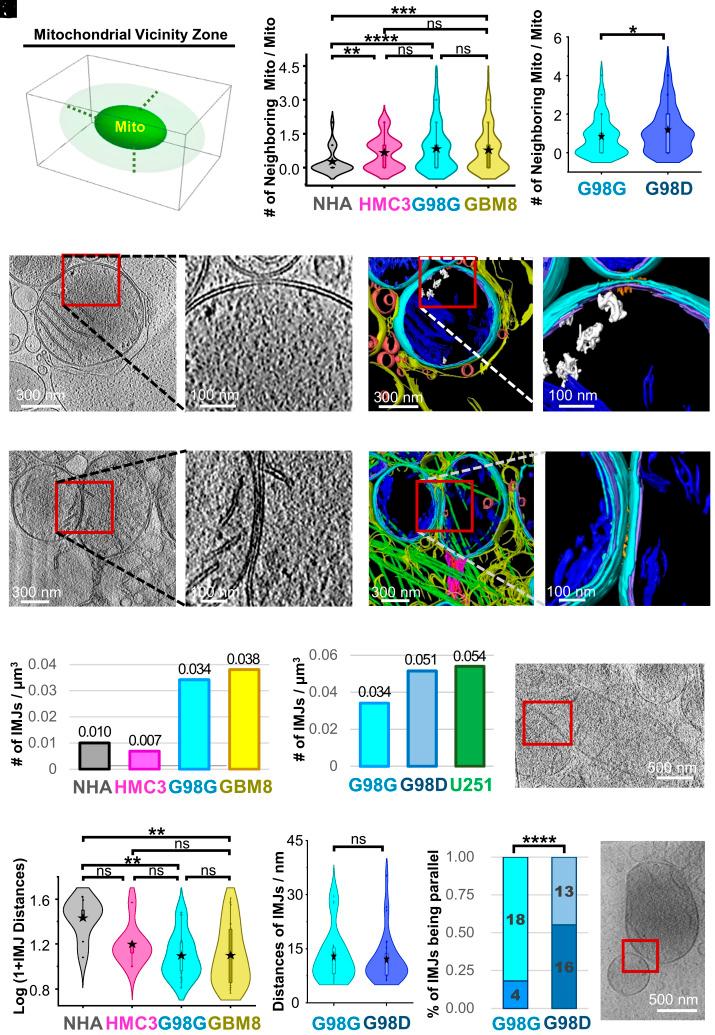 https://cdn.ncbi.nlm.nih.gov/pmc/blobs/206b/10907319/d22859ba51e0/pnas.2311160121fig03.jpg