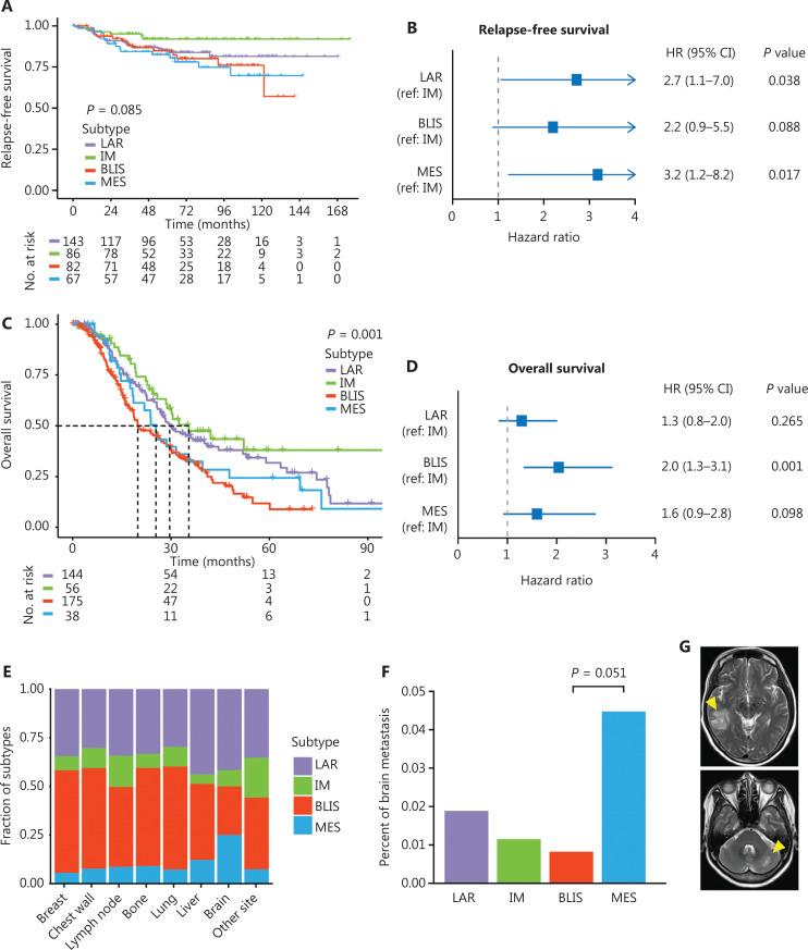 https://cdn.ncbi.nlm.nih.gov/pmc/blobs/206b/11414218/20e2d847c0ed/cbm-21-784-g004.jpg