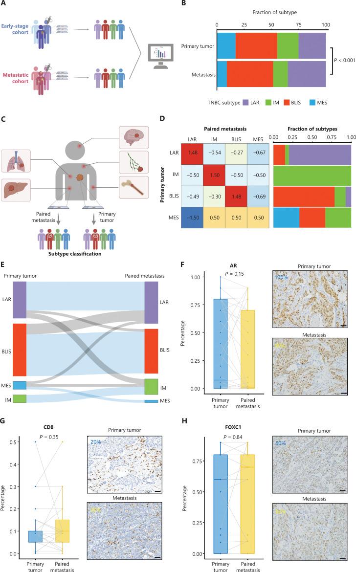 https://cdn.ncbi.nlm.nih.gov/pmc/blobs/206b/11414218/df0639dbe917/cbm-21-784-g002.jpg