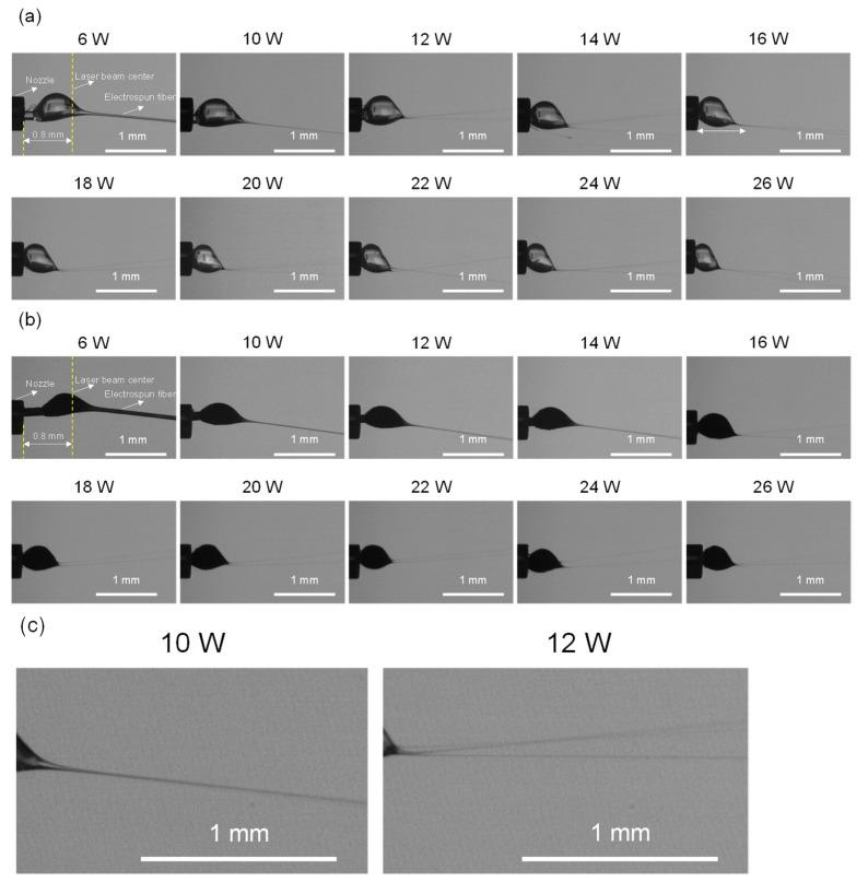 https://cdn.ncbi.nlm.nih.gov/pmc/blobs/206d/8401290/7d2e610609a0/polymers-13-02776-g002.jpg