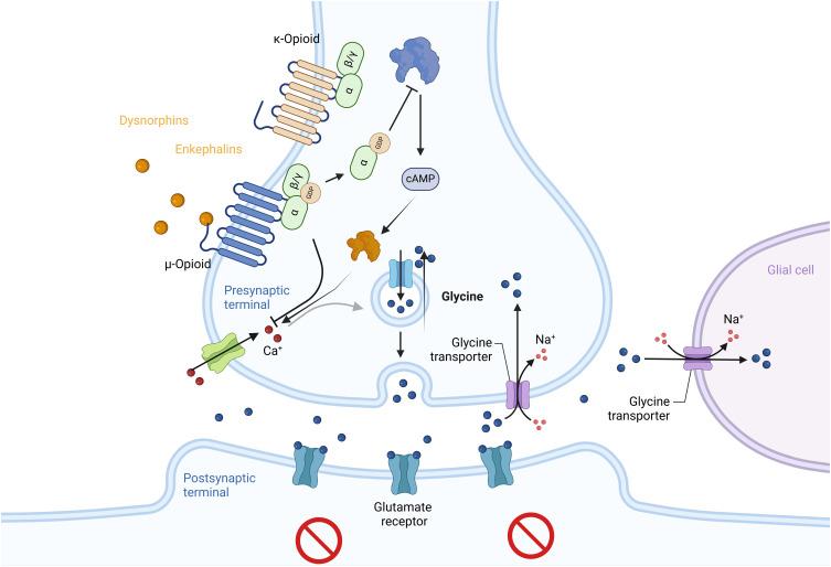 https://cdn.ncbi.nlm.nih.gov/pmc/blobs/2070/12091054/755adb2f15d3/JPR-18-2497-g0002.jpg
