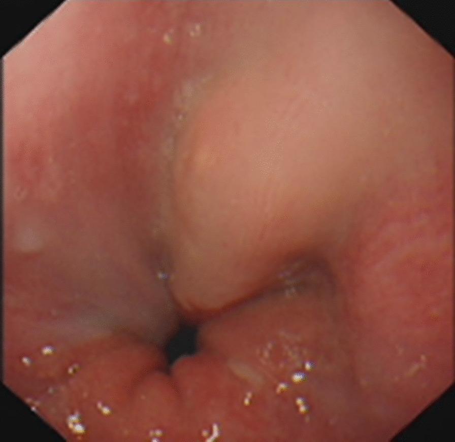 https://cdn.ncbi.nlm.nih.gov/pmc/blobs/2072/8742455/3d23453a4556/12893_2021_1457_Fig3_HTML.jpg