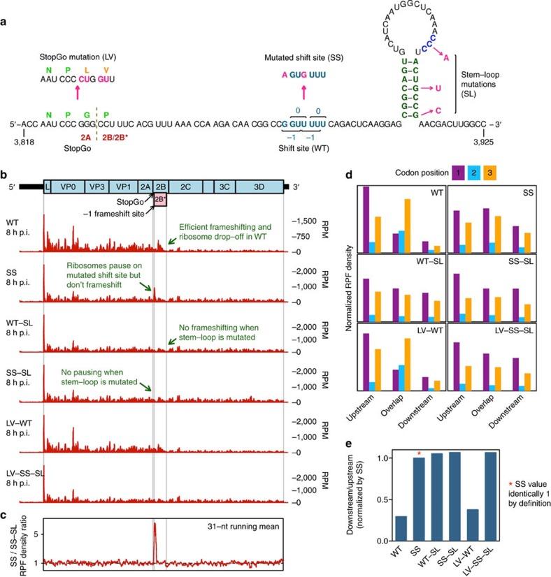 https://cdn.ncbi.nlm.nih.gov/pmc/blobs/2074/5472766/570f121a2cb0/ncomms15582-f2.jpg