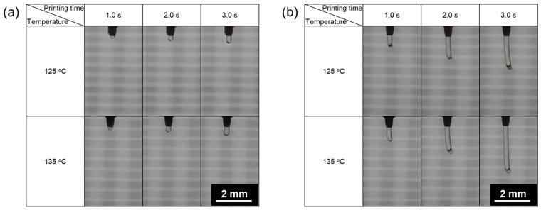 https://cdn.ncbi.nlm.nih.gov/pmc/blobs/2076/11123199/51842dca9f6d/materials-17-02459-g003.jpg
