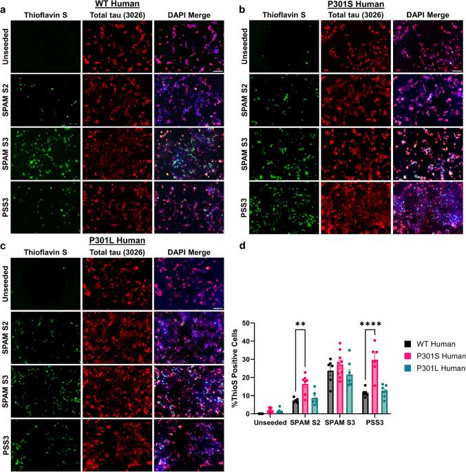 https://cdn.ncbi.nlm.nih.gov/pmc/blobs/2076/12125038/2199fe2261cf/12017_2025_8850_Fig8_HTML.jpg