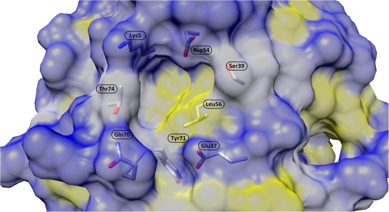 https://cdn.ncbi.nlm.nih.gov/pmc/blobs/2076/12211582/299bc461216d/12885_2025_14033_Fig4_HTML.jpg