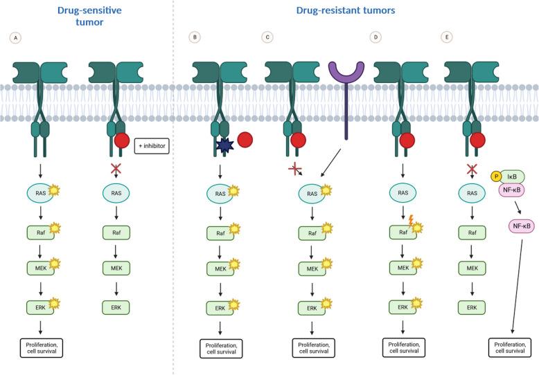 https://cdn.ncbi.nlm.nih.gov/pmc/blobs/2076/12211582/95d5870ba1bf/12885_2025_14033_Fig6_HTML.jpg