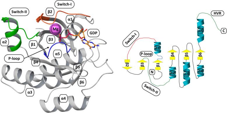 https://cdn.ncbi.nlm.nih.gov/pmc/blobs/2076/12211582/bfbeac18270b/12885_2025_14033_Fig3_HTML.jpg