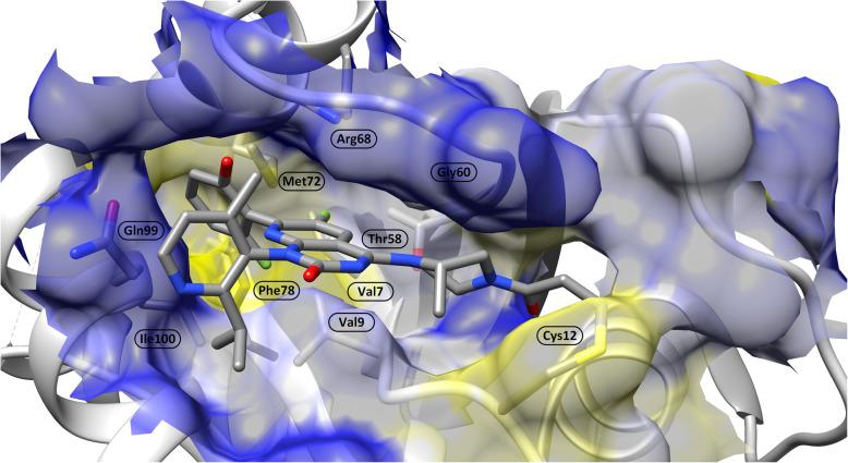 https://cdn.ncbi.nlm.nih.gov/pmc/blobs/2076/12211582/dc6acf410d1b/12885_2025_14033_Fig5_HTML.jpg