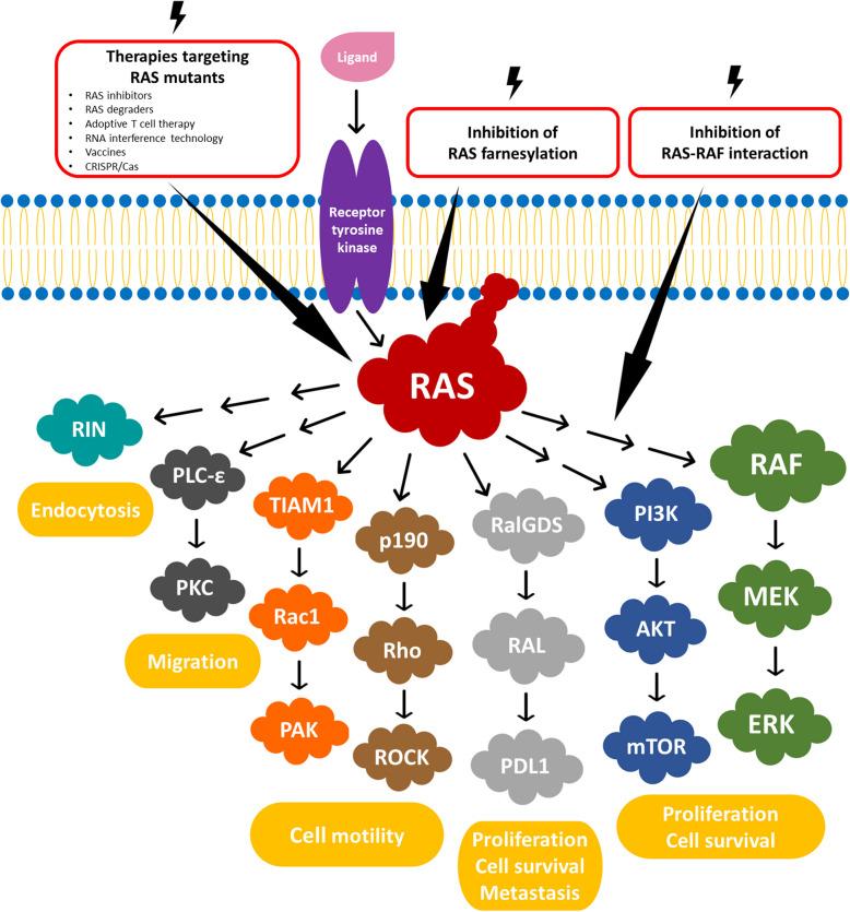 https://cdn.ncbi.nlm.nih.gov/pmc/blobs/2076/12211582/f36682b1fd12/12885_2025_14033_Fig7_HTML.jpg