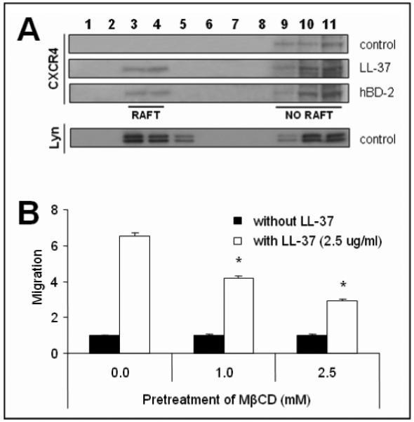 https://cdn.ncbi.nlm.nih.gov/pmc/blobs/2076/2777742/a53aa073c3a9/nihms-130660-f0006.jpg