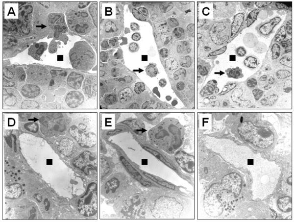 https://cdn.ncbi.nlm.nih.gov/pmc/blobs/2076/2777742/b02344418854/nihms-130660-f0002.jpg