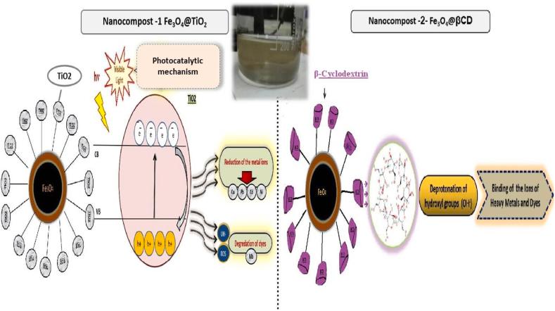 https://cdn.ncbi.nlm.nih.gov/pmc/blobs/2077/11336569/69c02880dd5f/gr11.jpg