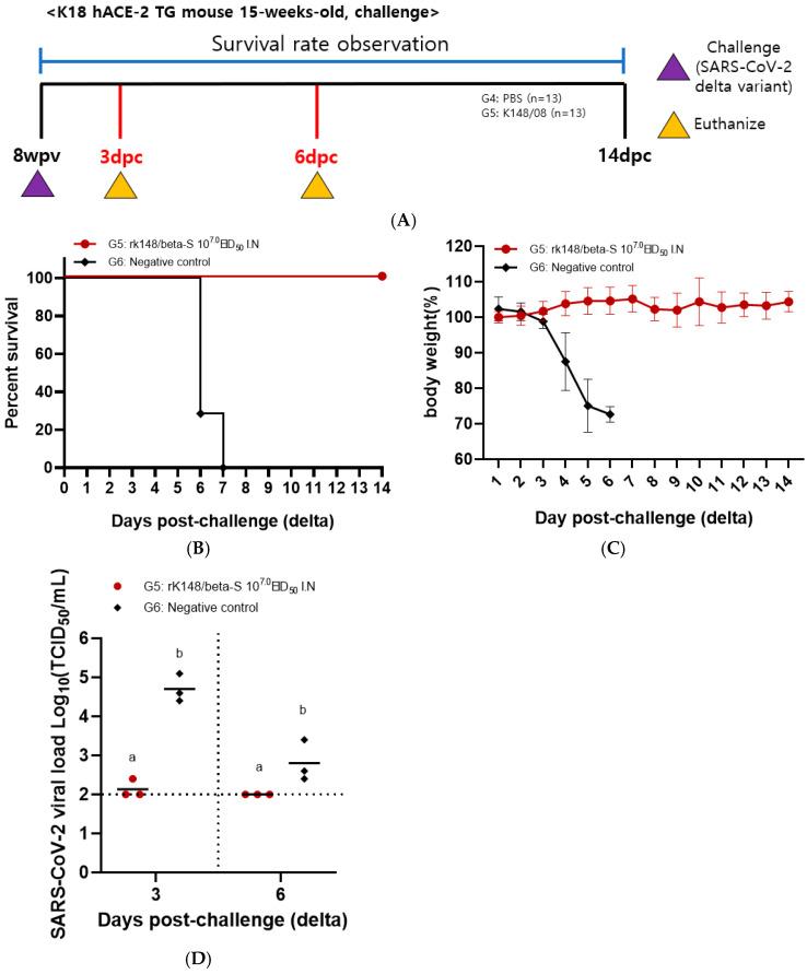 https://cdn.ncbi.nlm.nih.gov/pmc/blobs/2077/11359043/ac737939cba6/vaccines-12-00921-g003.jpg