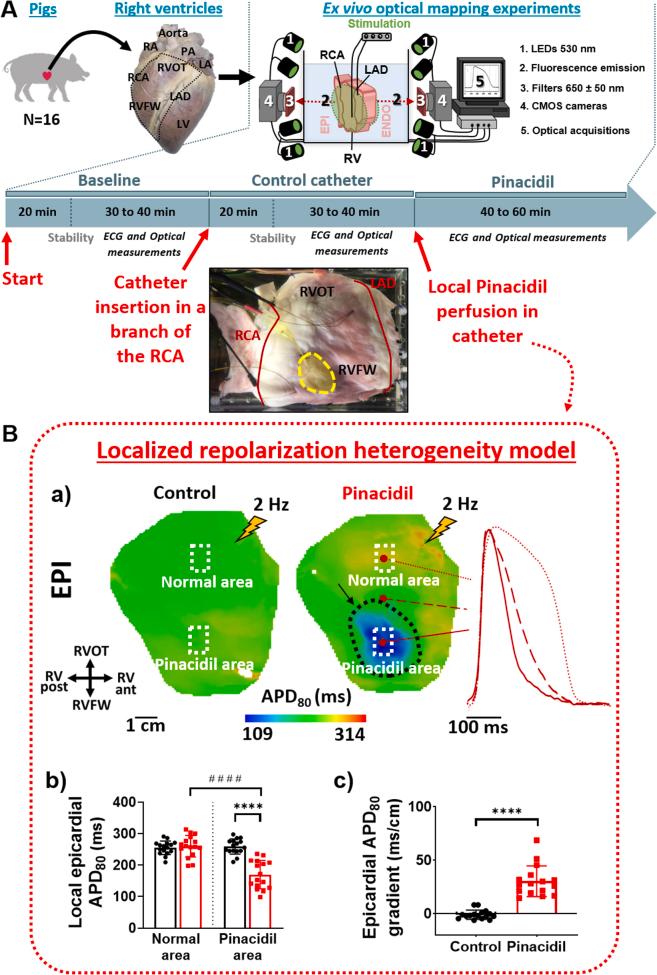 https://cdn.ncbi.nlm.nih.gov/pmc/blobs/2078/12048301/0868981dde74/figs1.jpg