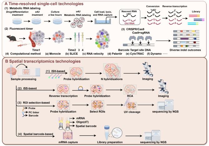 https://cdn.ncbi.nlm.nih.gov/pmc/blobs/207c/11438019/71fc67ef47a0/40364_2024_643_Fig2_HTML.jpg