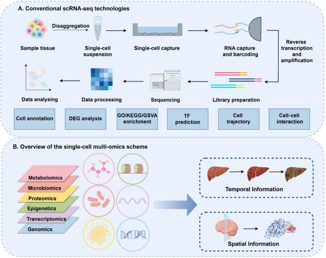 https://cdn.ncbi.nlm.nih.gov/pmc/blobs/207c/11438019/df3b7558aa13/40364_2024_643_Fig1_HTML.jpg