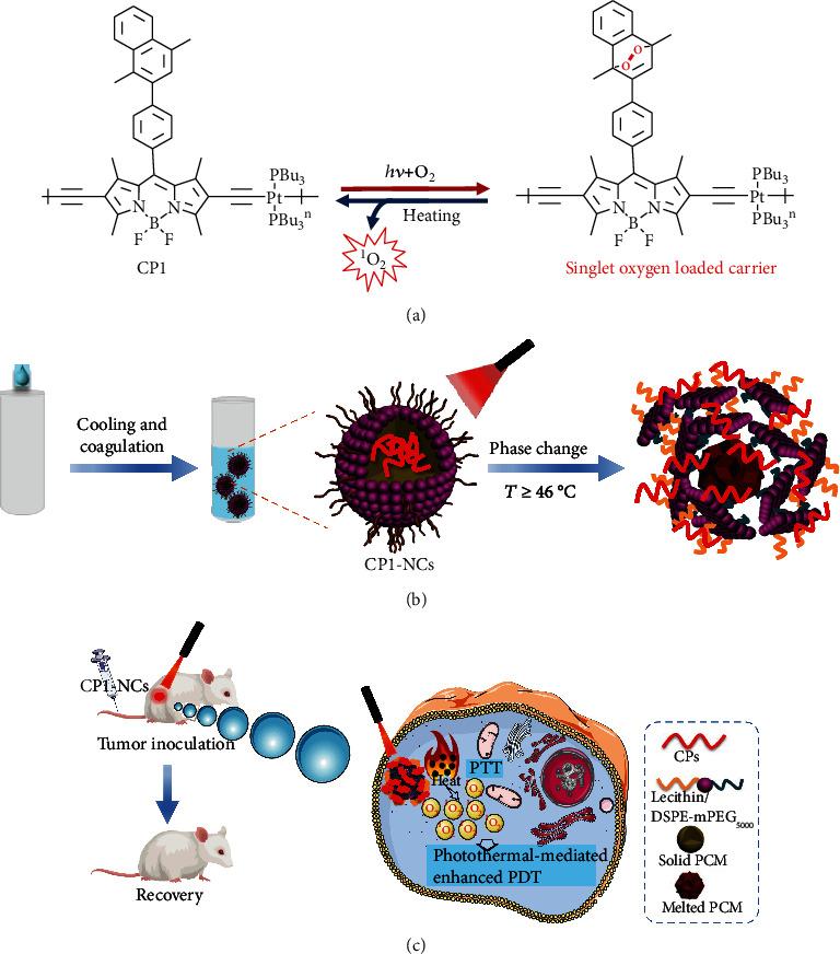 https://cdn.ncbi.nlm.nih.gov/pmc/blobs/207d/7569507/efd2b5000cfb/RESEARCH2020-5351848.001.jpg