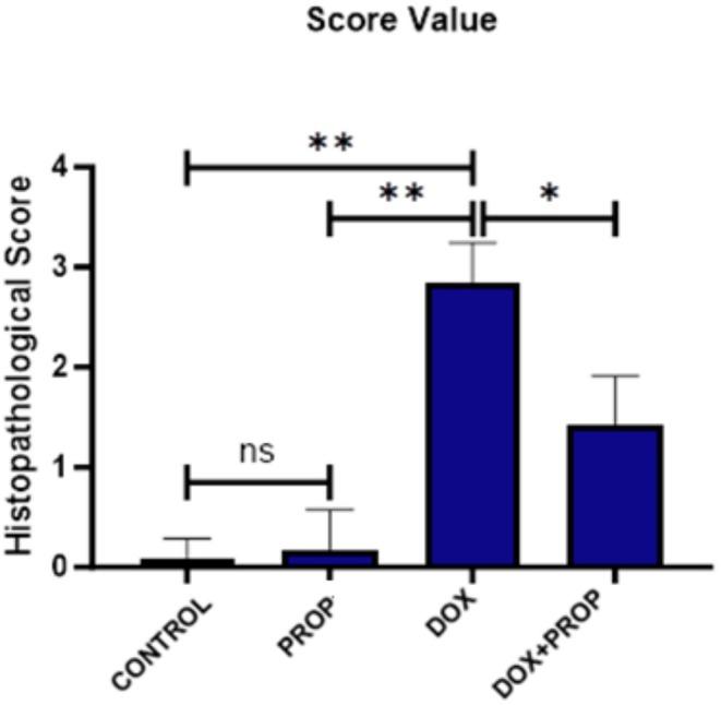 https://cdn.ncbi.nlm.nih.gov/pmc/blobs/207e/12014397/6306a55ea4c4/FSN3-13-e70194-g003.jpg