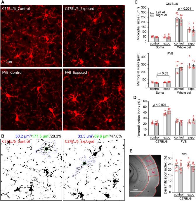 https://cdn.ncbi.nlm.nih.gov/pmc/blobs/207e/7686384/fe1c208b7ed2/41598_2020_75714_Fig3_HTML.jpg