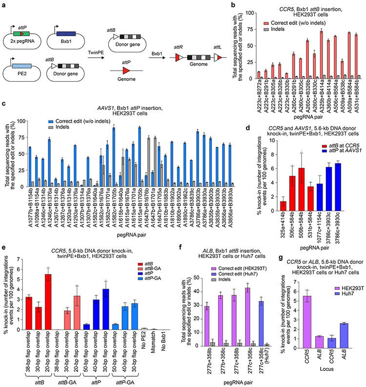 https://cdn.ncbi.nlm.nih.gov/pmc/blobs/207e/9117393/f0e4683ff607/nihms-1750706-f0003.jpg