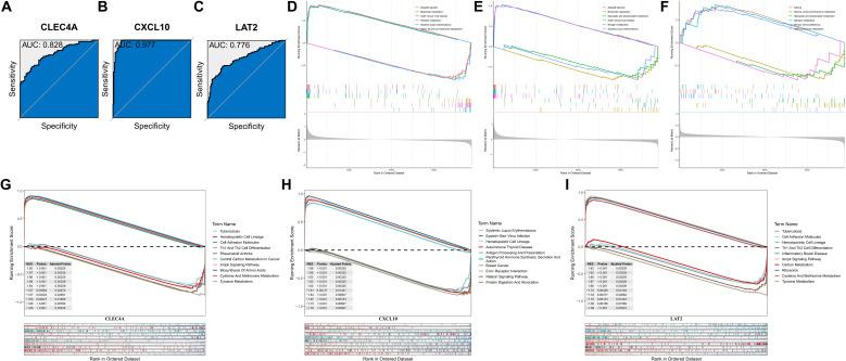 https://cdn.ncbi.nlm.nih.gov/pmc/blobs/2081/12213886/9b2cbc11b67f/fimmu-16-1566432-g006.jpg