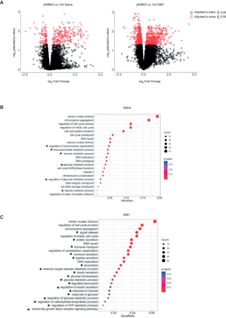 https://cdn.ncbi.nlm.nih.gov/pmc/blobs/2082/7093812/09620569c8e8/gr6.jpg