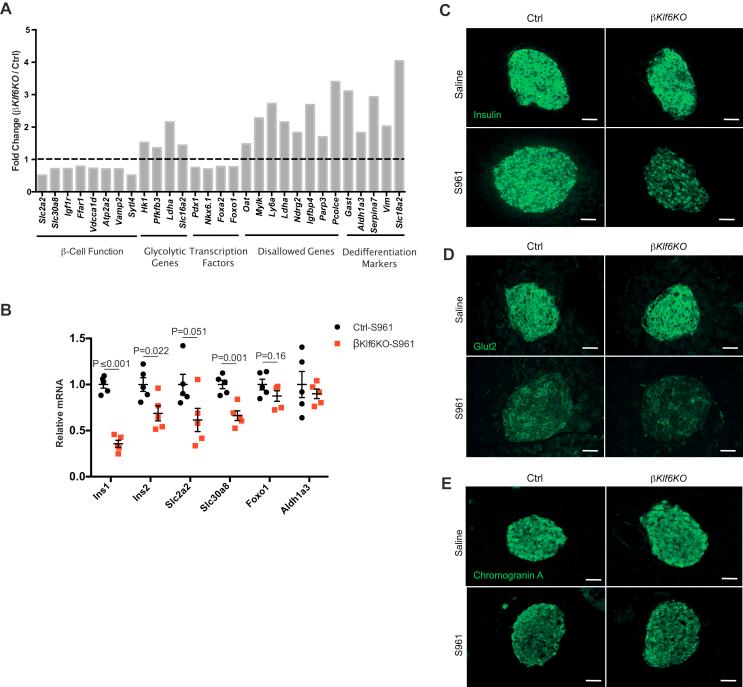 https://cdn.ncbi.nlm.nih.gov/pmc/blobs/2082/7093812/ad3024ba1378/gr7.jpg