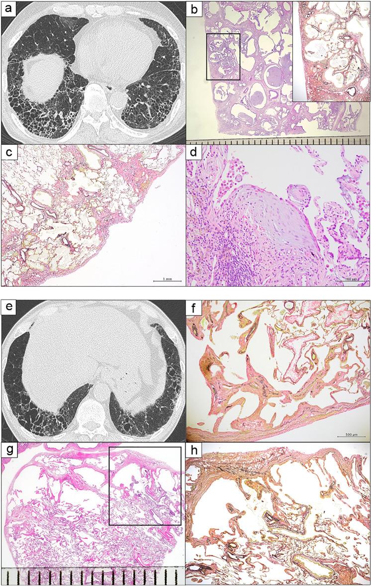 https://cdn.ncbi.nlm.nih.gov/pmc/blobs/2082/9886620/5494e1d9cf4d/11748_2022_1868_Fig2_HTML.jpg