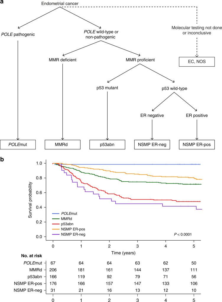 https://cdn.ncbi.nlm.nih.gov/pmc/blobs/2083/10050005/0691ce2a82a8/41416_2023_2141_Fig3_HTML.jpg