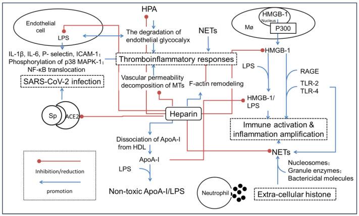 https://cdn.ncbi.nlm.nih.gov/pmc/blobs/2084/11430252/643c00702fd8/biomolecules-14-01078-g002.jpg
