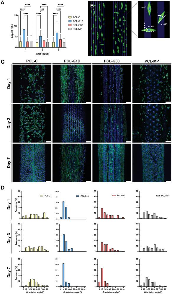 https://cdn.ncbi.nlm.nih.gov/pmc/blobs/208a/11773100/bd5fd8f594aa/ADHM-14-0-g003.jpg