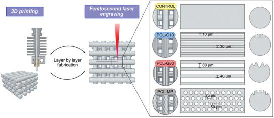 https://cdn.ncbi.nlm.nih.gov/pmc/blobs/208a/11773100/c78d81f6f684/ADHM-14-0-g002.jpg