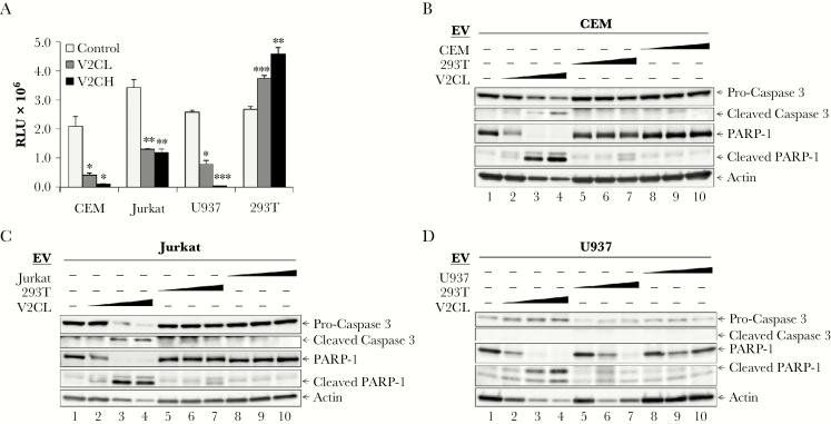 https://cdn.ncbi.nlm.nih.gov/pmc/blobs/208c/6249571/e030844720e0/jiy47208.jpg