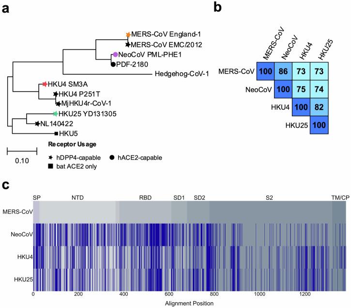 https://cdn.ncbi.nlm.nih.gov/pmc/blobs/208e/12307638/26fa30a40cfb/44298_2025_142_Fig1_HTML.jpg