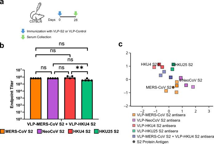 https://cdn.ncbi.nlm.nih.gov/pmc/blobs/208e/12307638/5d93ec14d258/44298_2025_142_Fig5_HTML.jpg