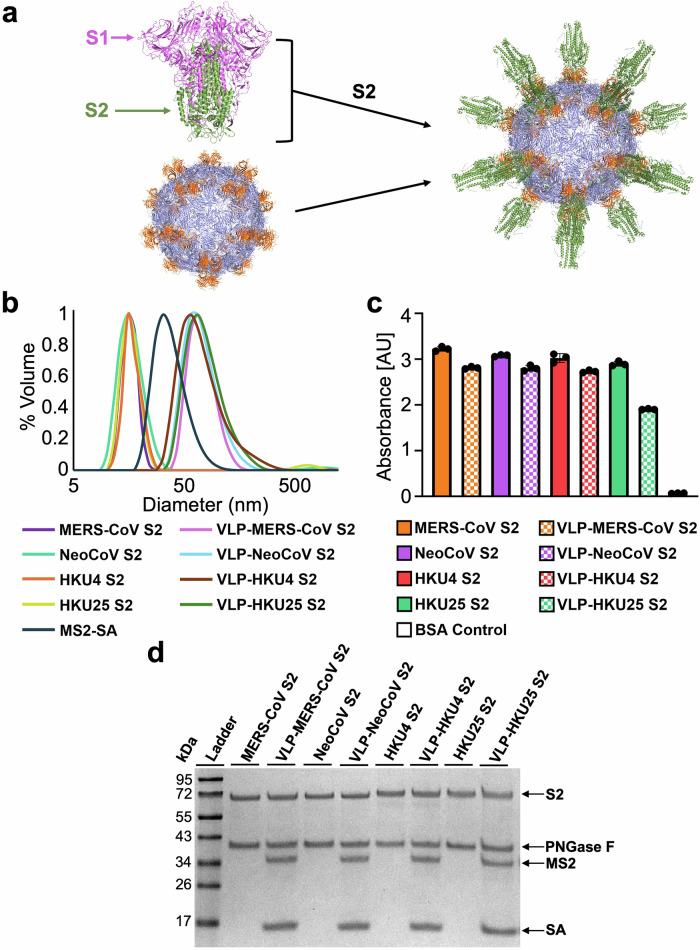 https://cdn.ncbi.nlm.nih.gov/pmc/blobs/208e/12307638/817f1f35c2e5/44298_2025_142_Fig2_HTML.jpg