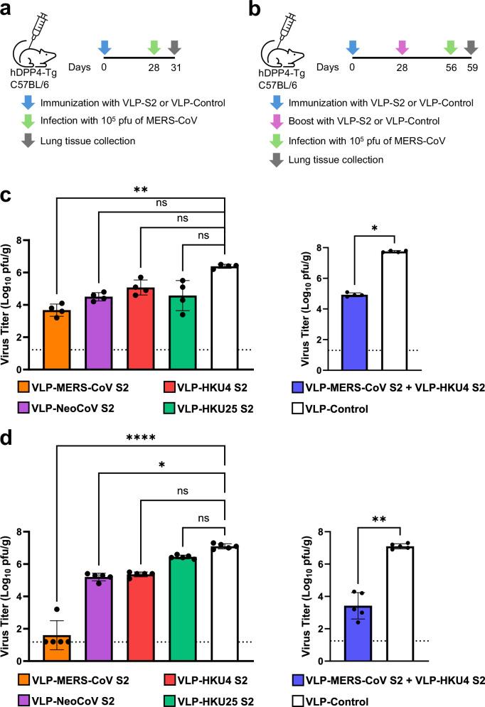https://cdn.ncbi.nlm.nih.gov/pmc/blobs/208e/12307638/983bab04010a/44298_2025_142_Fig6_HTML.jpg