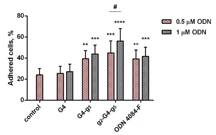 https://cdn.ncbi.nlm.nih.gov/pmc/blobs/208e/7072695/b45a75d7b958/biomolecules-10-00249-g002.jpg